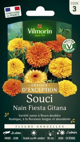 Fleurs - Souci Nain Fiesta Gitana - Graines d'Exception - face recto